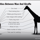 Illustration for article titled DNA Evidence Frees Man From Zoo